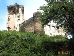 Ruine Burg Metternich