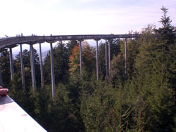 Waldwipfelweg